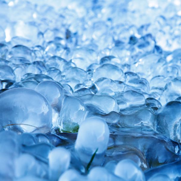 Untitled design (18)